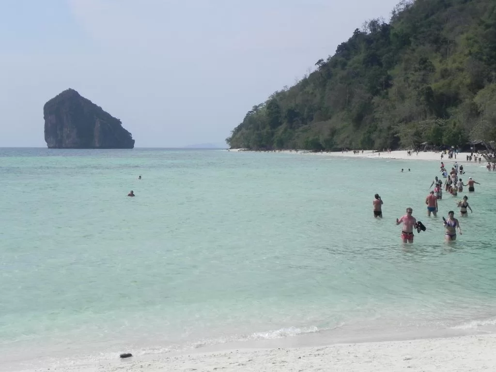 083.webp
