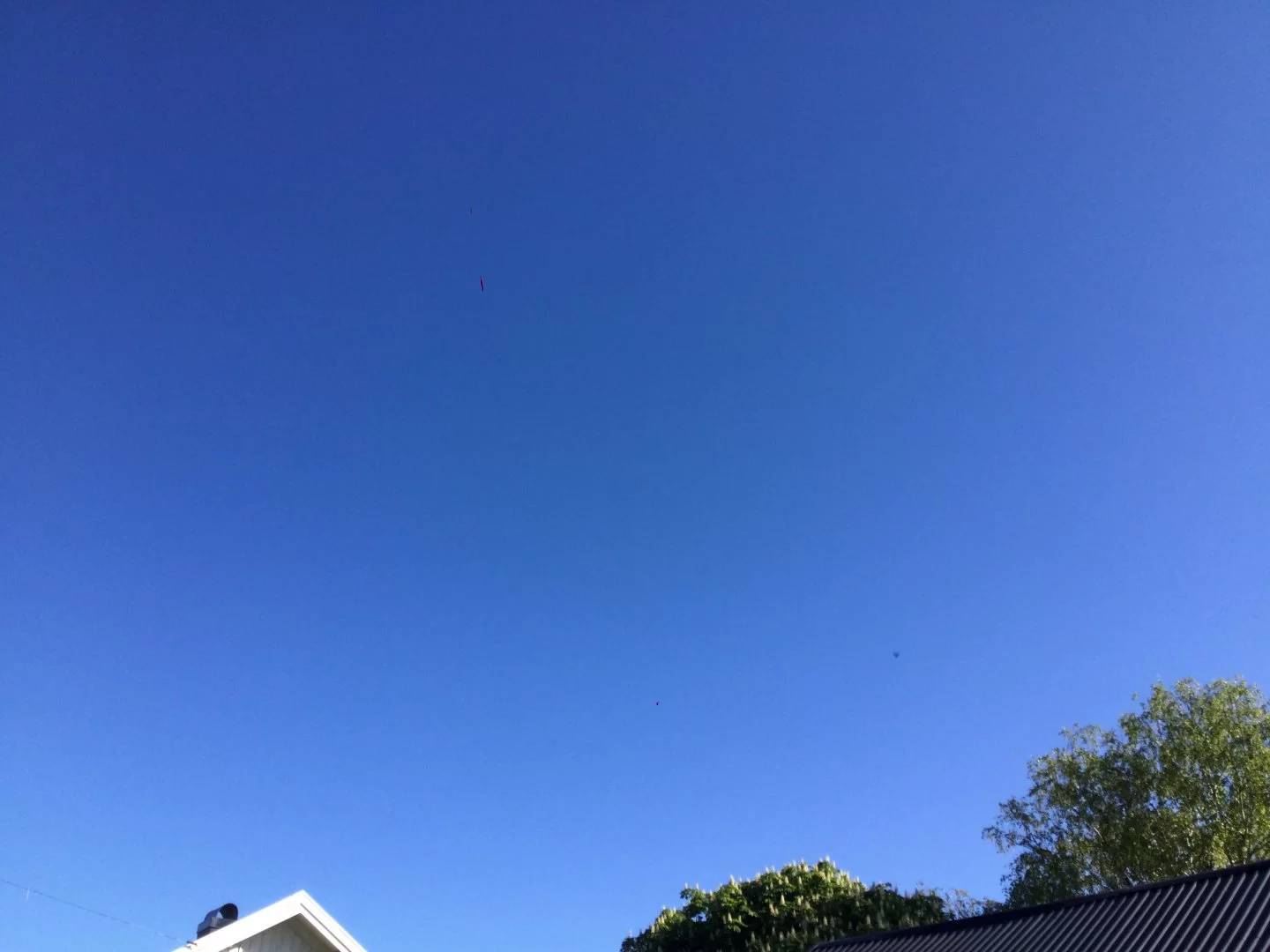0DD98E7B-67E3-40C0-BB99-83BDF31FAEBC.jpeg