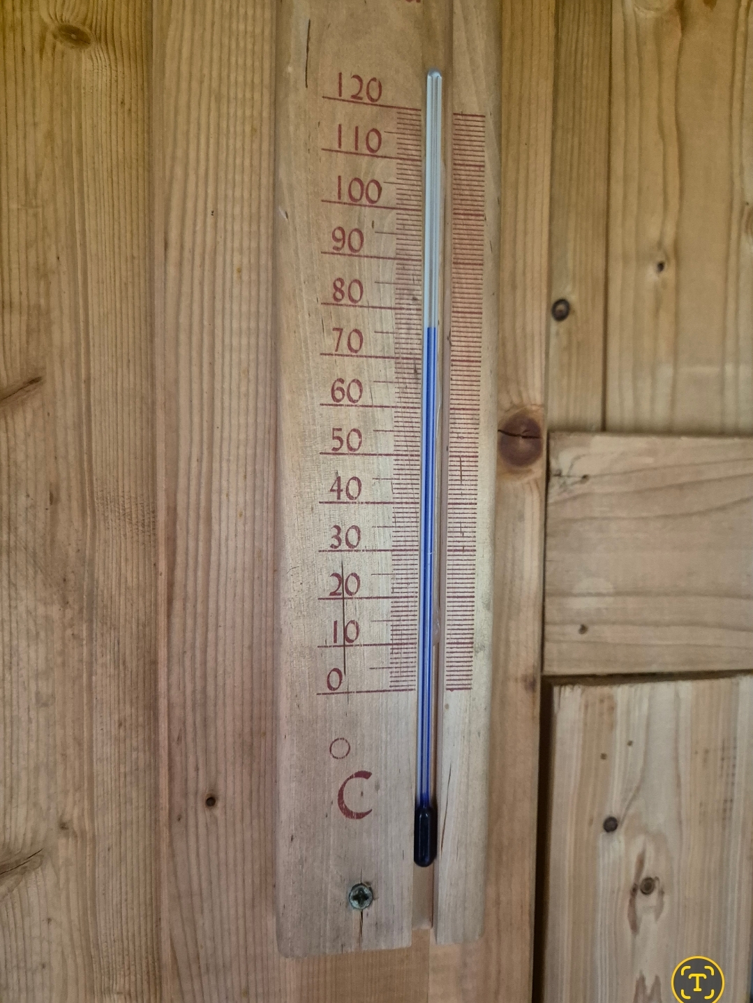 1000008295.jpg
