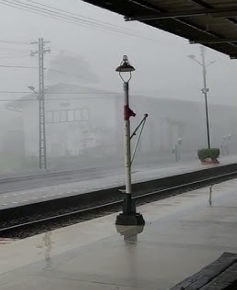 1000008900.jpg