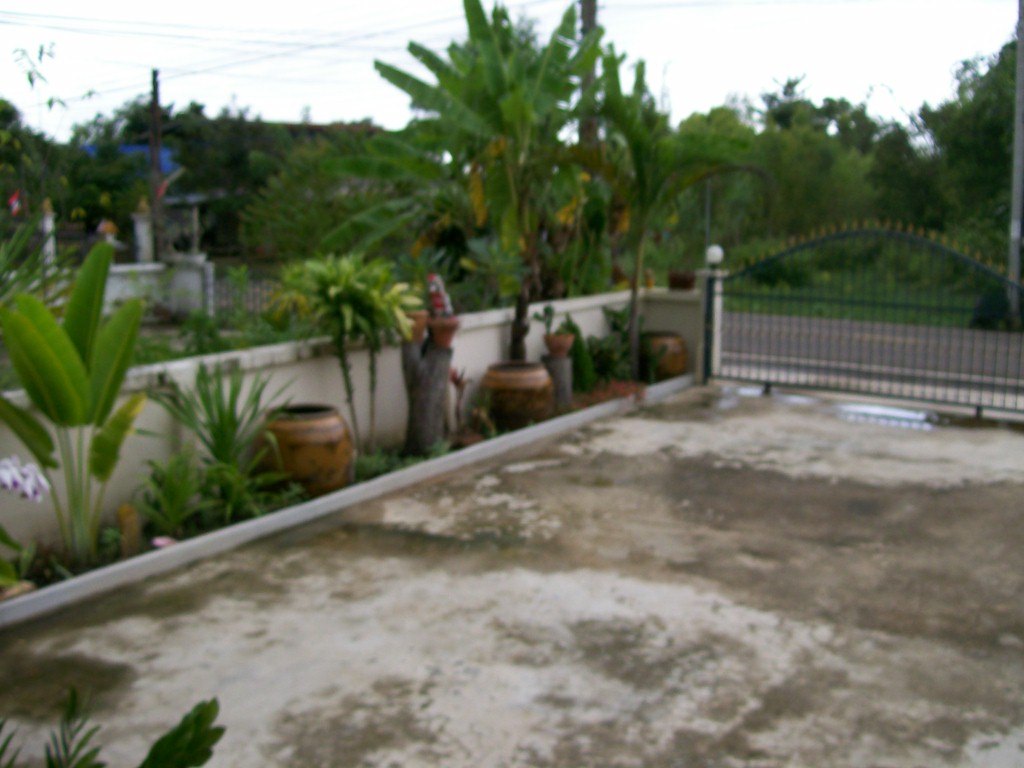 100_1100.JPG