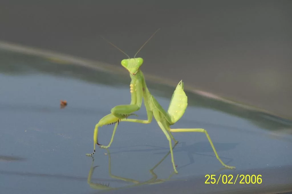 100_4404.webp