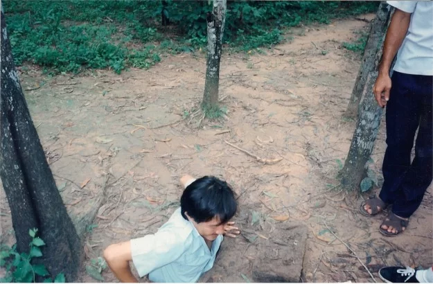 11.webp