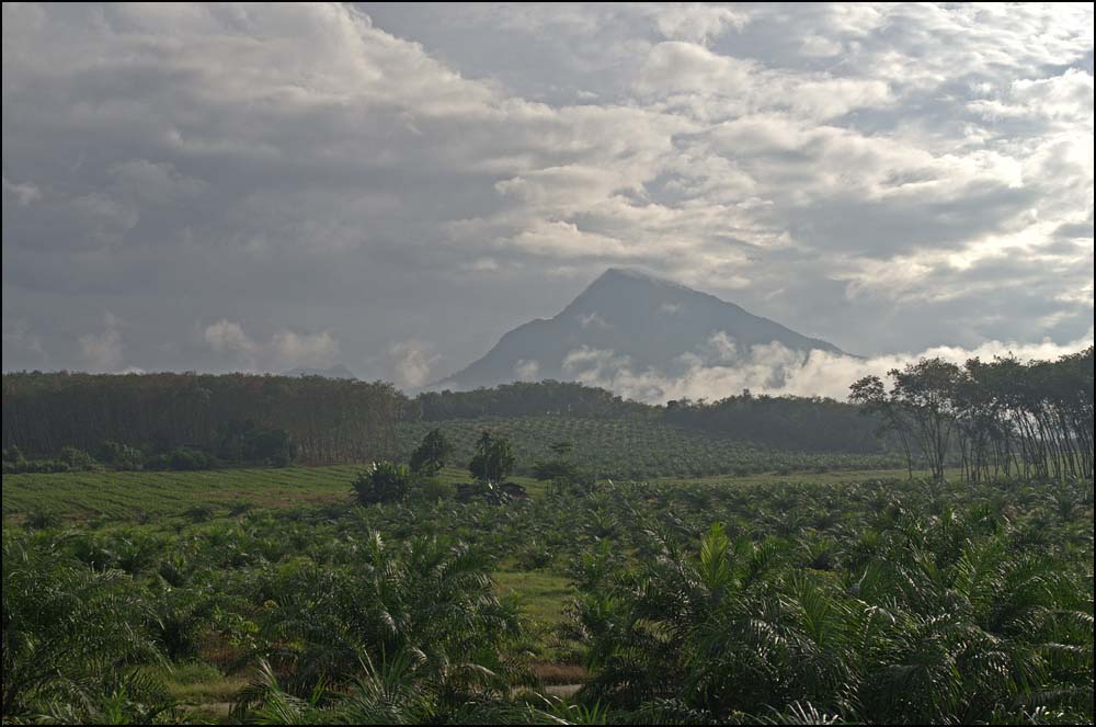 12-0262 Khao Luang 1835 m NST.jpg