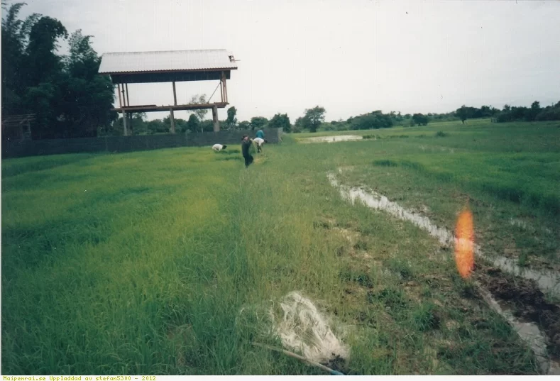 13.webp