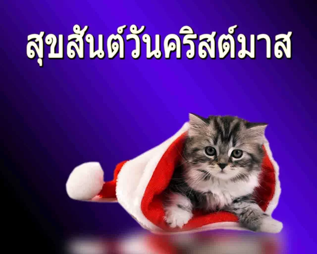 14.webp