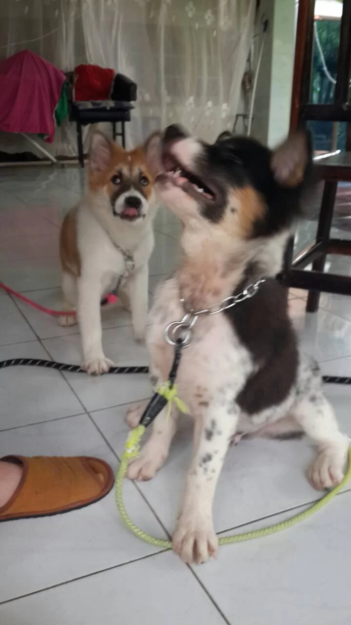 1427070570619.webp