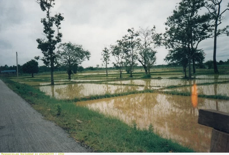 15.webp