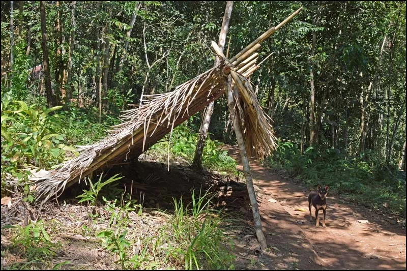 16-0285 Enkelt skydd NAN.webp