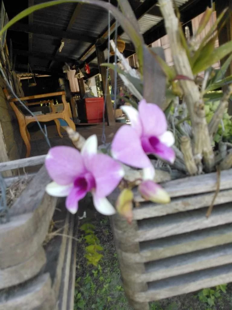 1601731344953.webp
