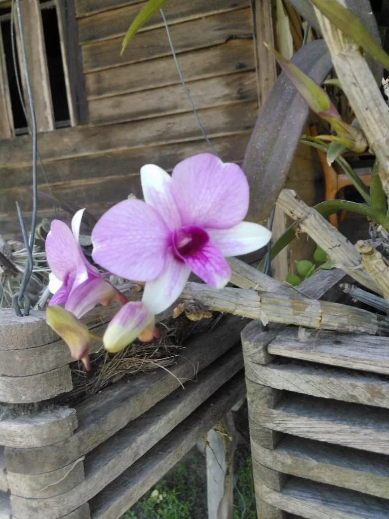 1601733018203.webp