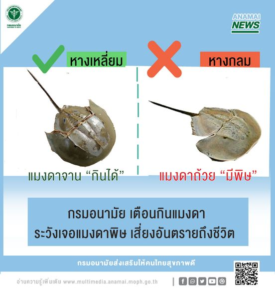 1602058947483.png
