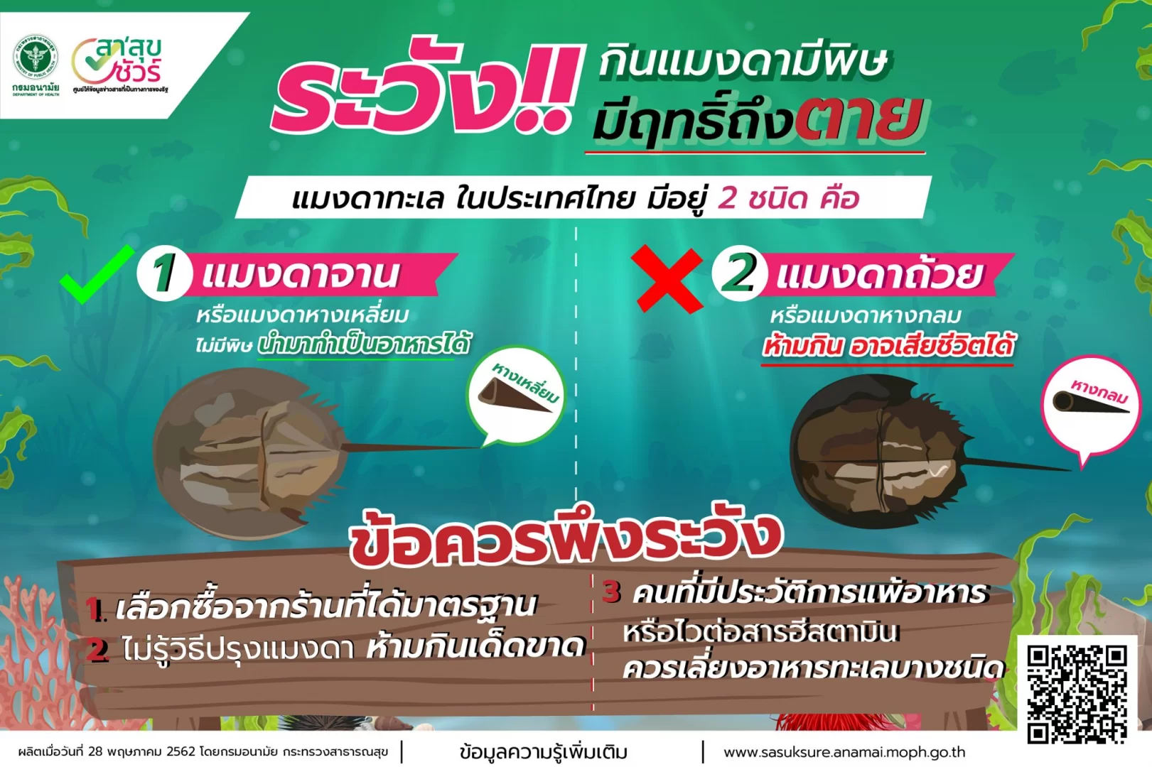 1602058988359.webp
