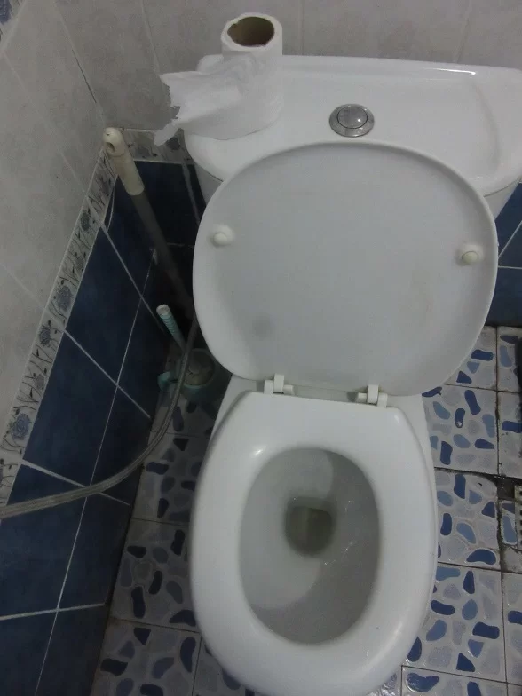 1634562768672.webp