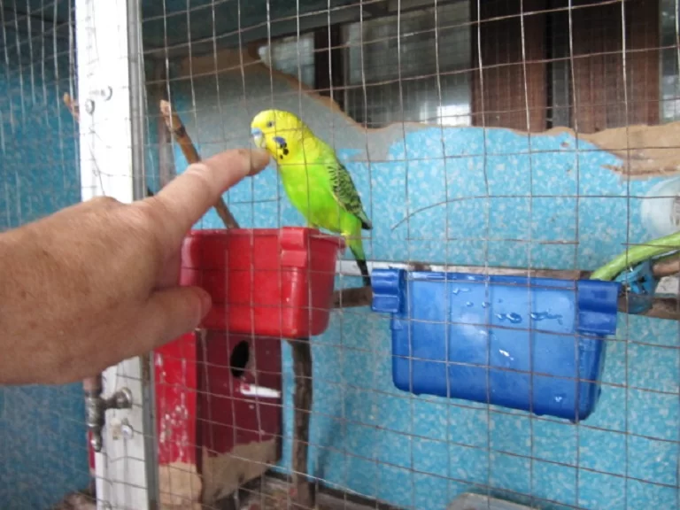 1635813322148.webp