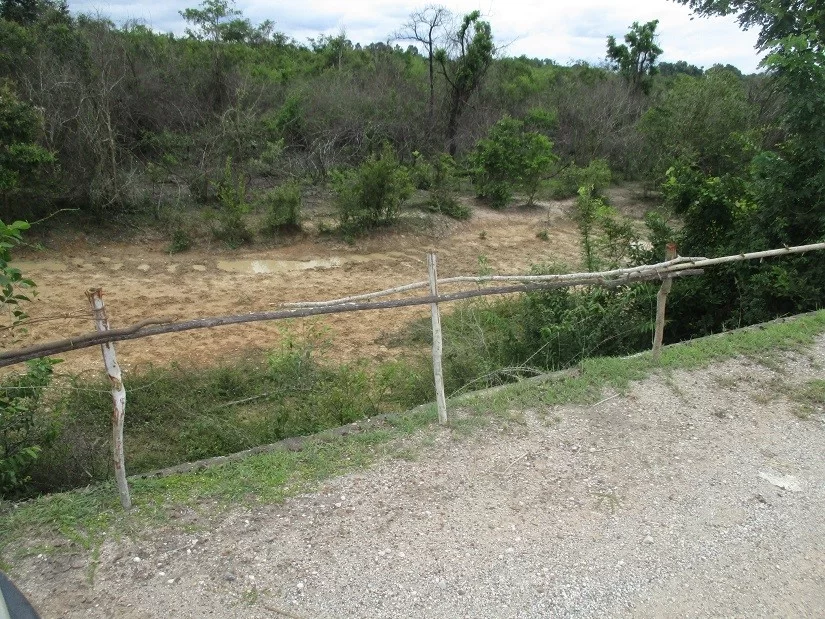 1639605984334.webp
