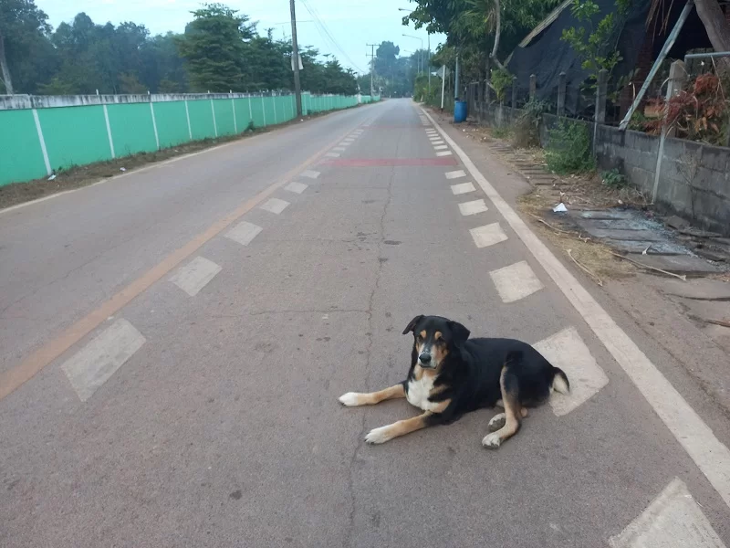 1641298044264.webp