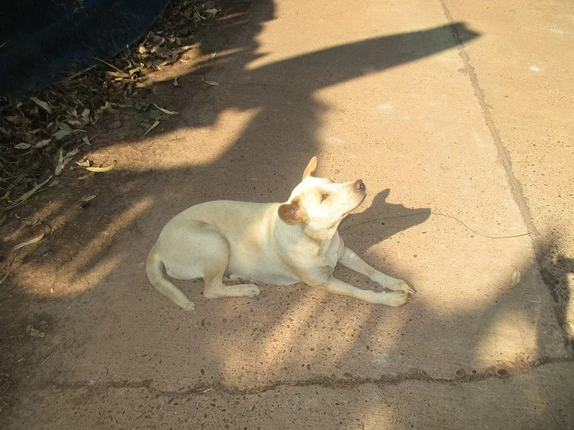 1644969513466.webp
