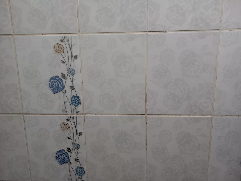 1648531169613.webp