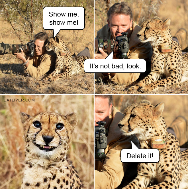 1677276367332.png