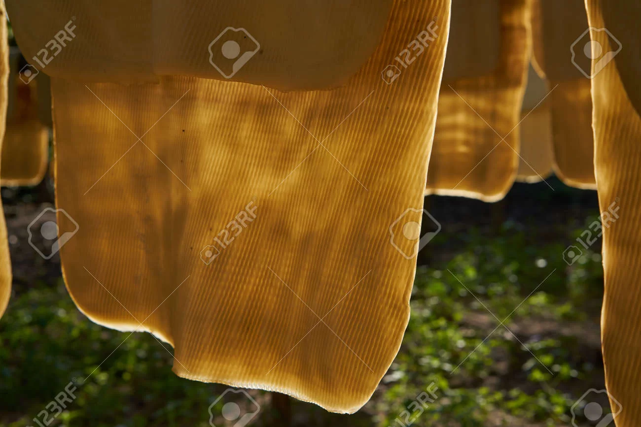 1686320106553.webp