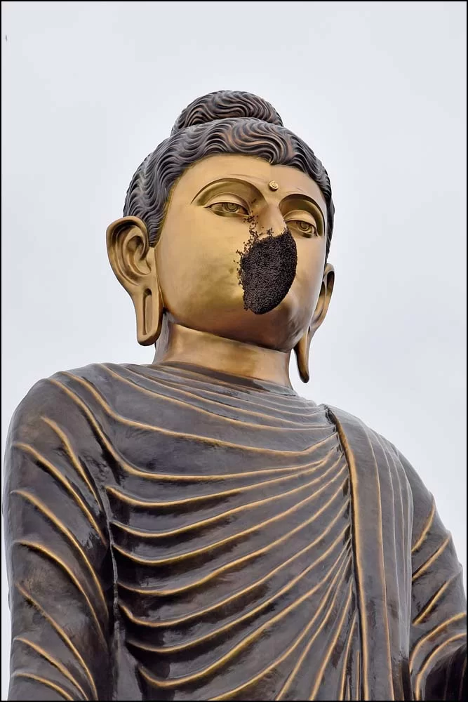17-1372 Buddha med bin på näsan CHM.webp