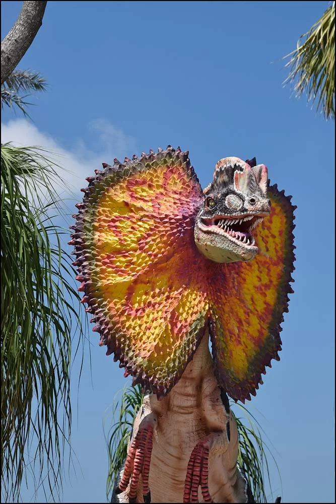 17-1438 Dinosaurie CBU.webp