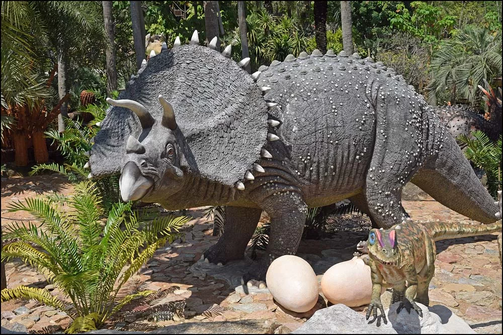 17-1442 Dinosaurie CBU.webp