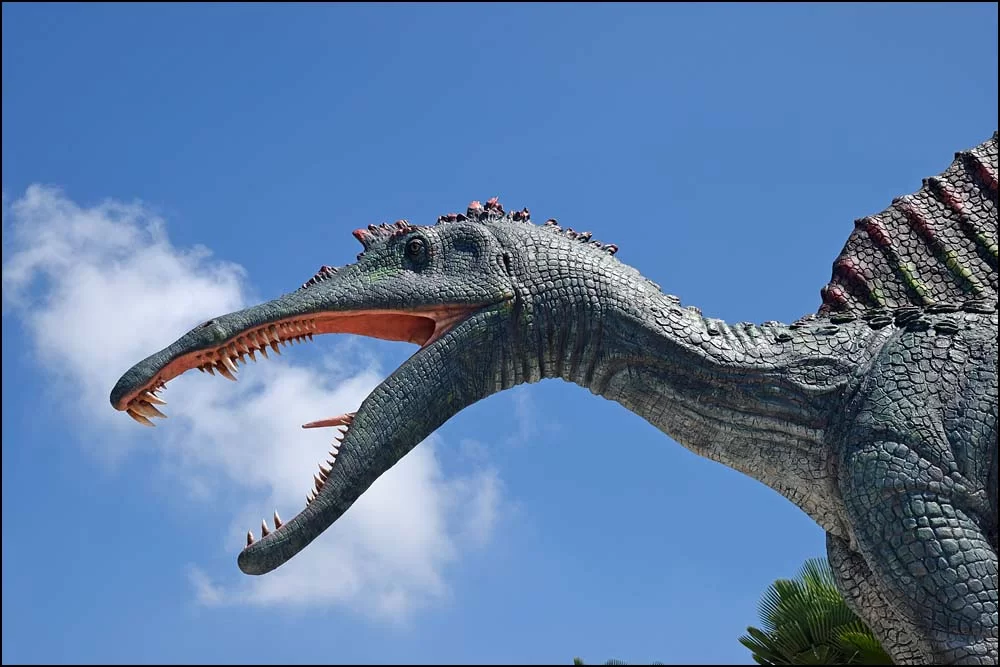 17-1443 Dinosaurie CBU.webp