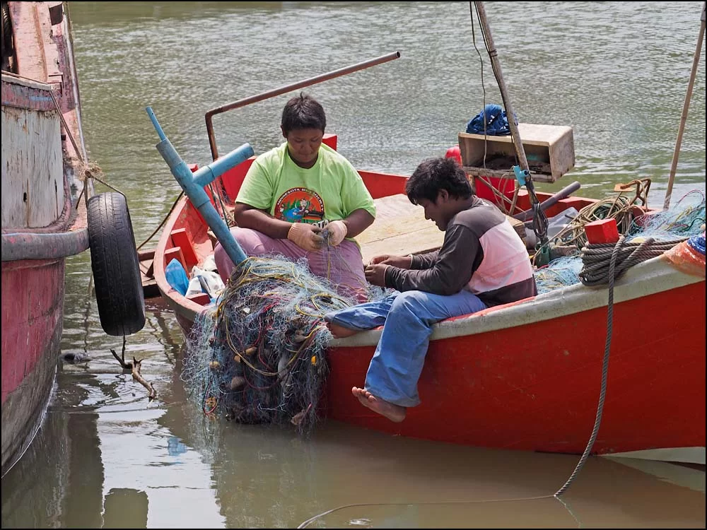 17-1493 Fiskare rensar nät CBU.webp