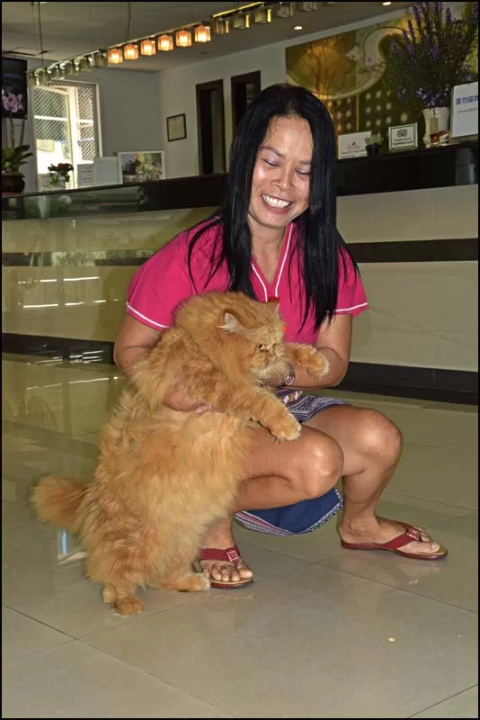 17-1611 Noi och katten.webp