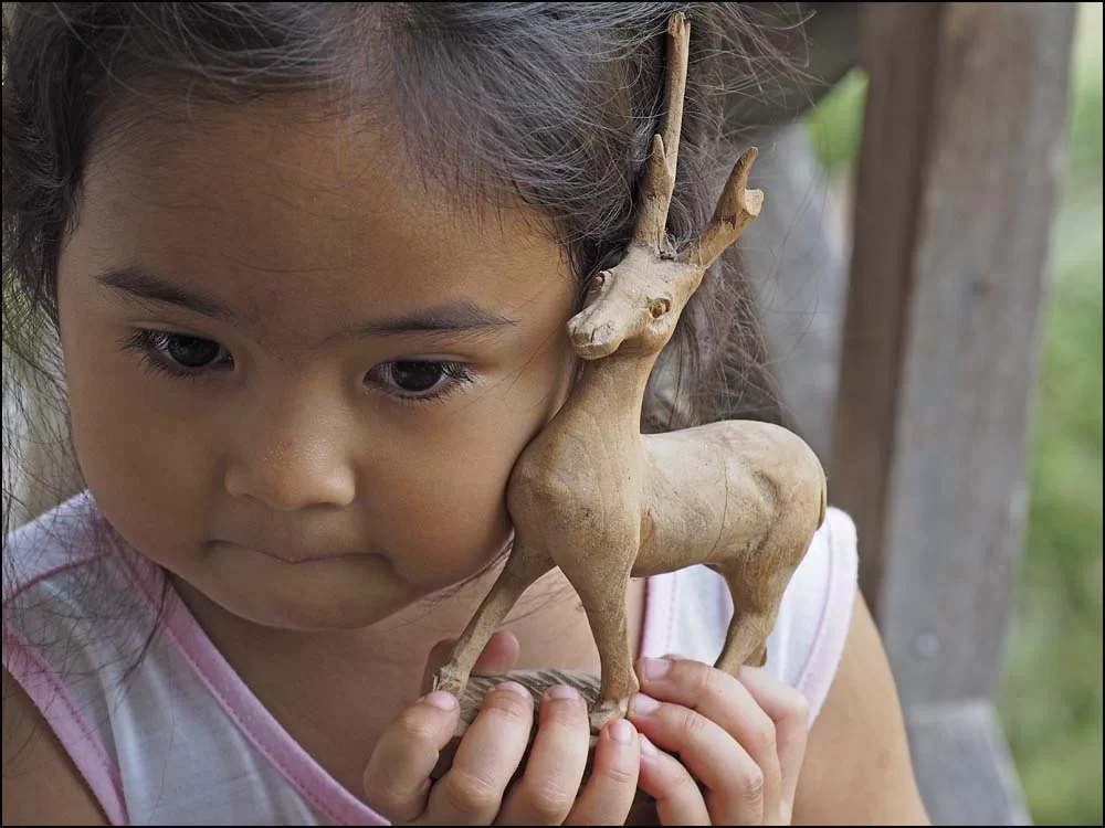 17-1803 Si-Queen NAN.webp