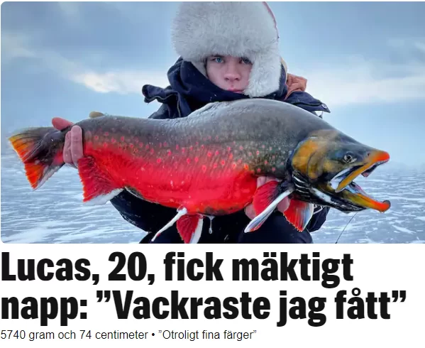 1702543844369.webp
