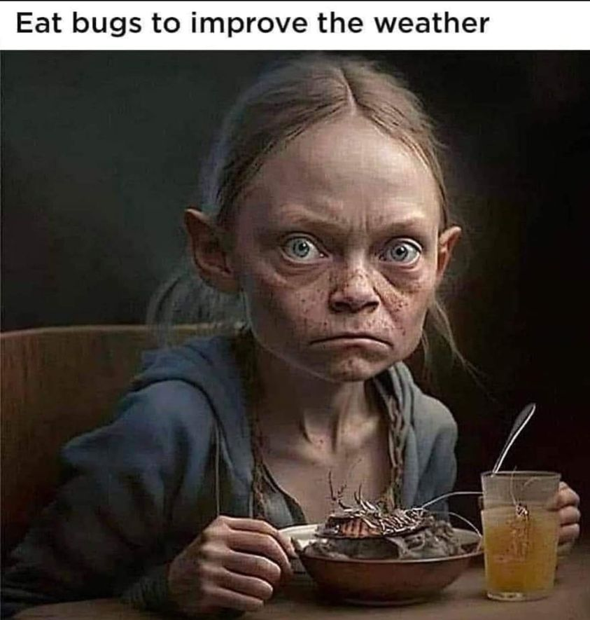 1710681241306.png