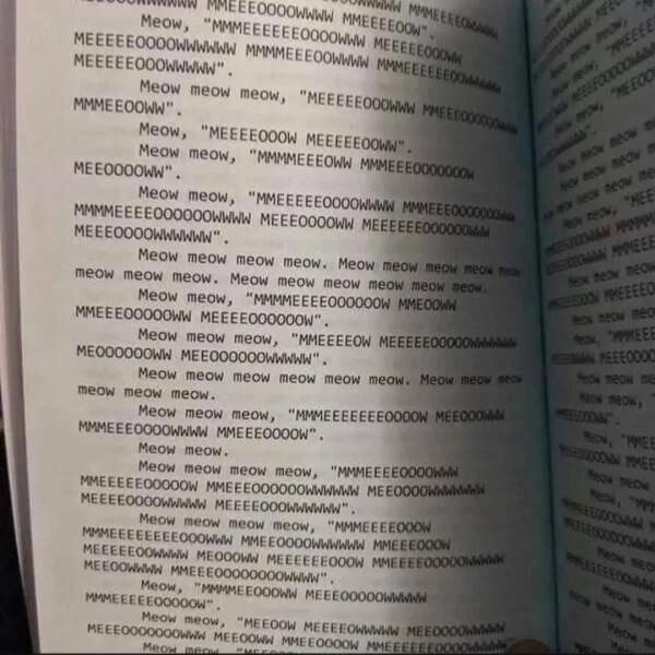 1751956978631.webp