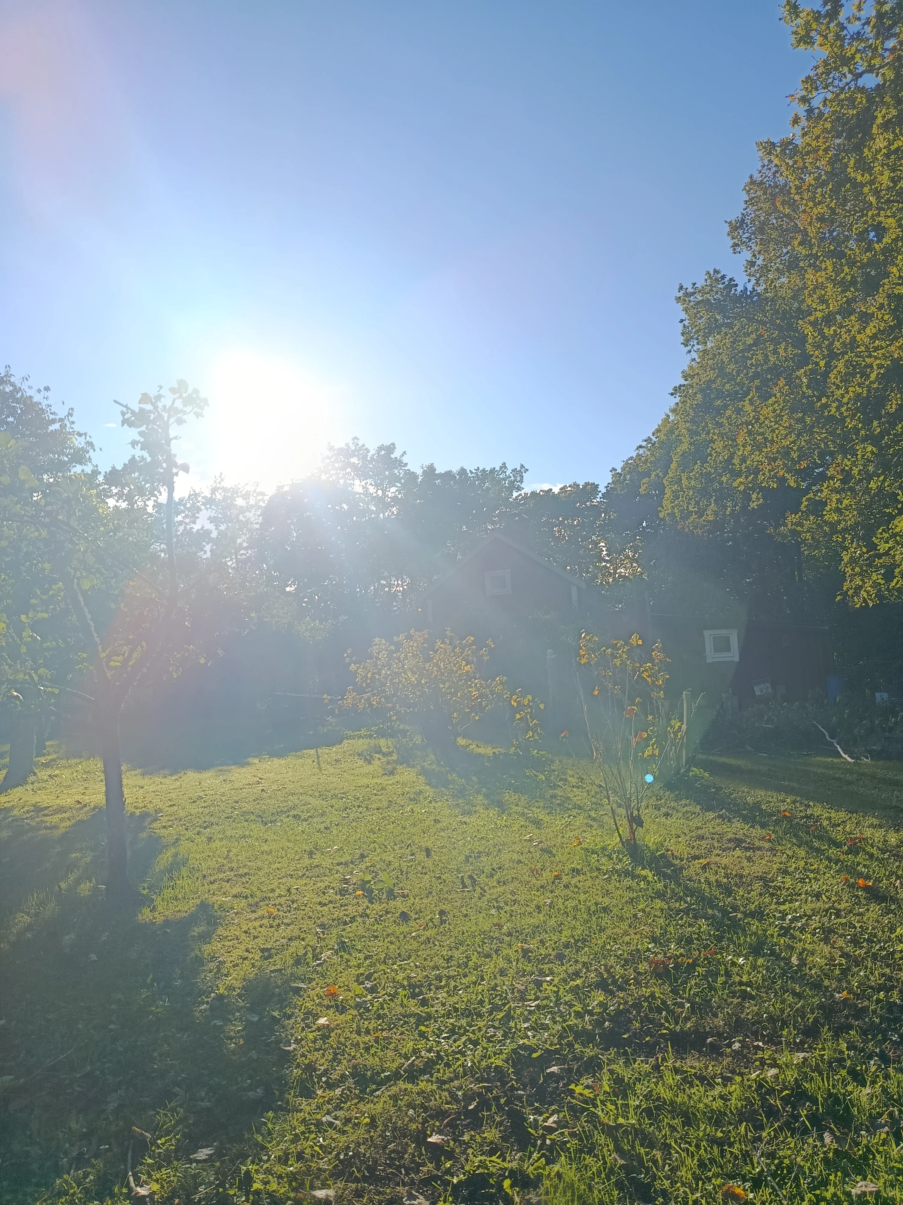 17592414747032068475832141933402.webp