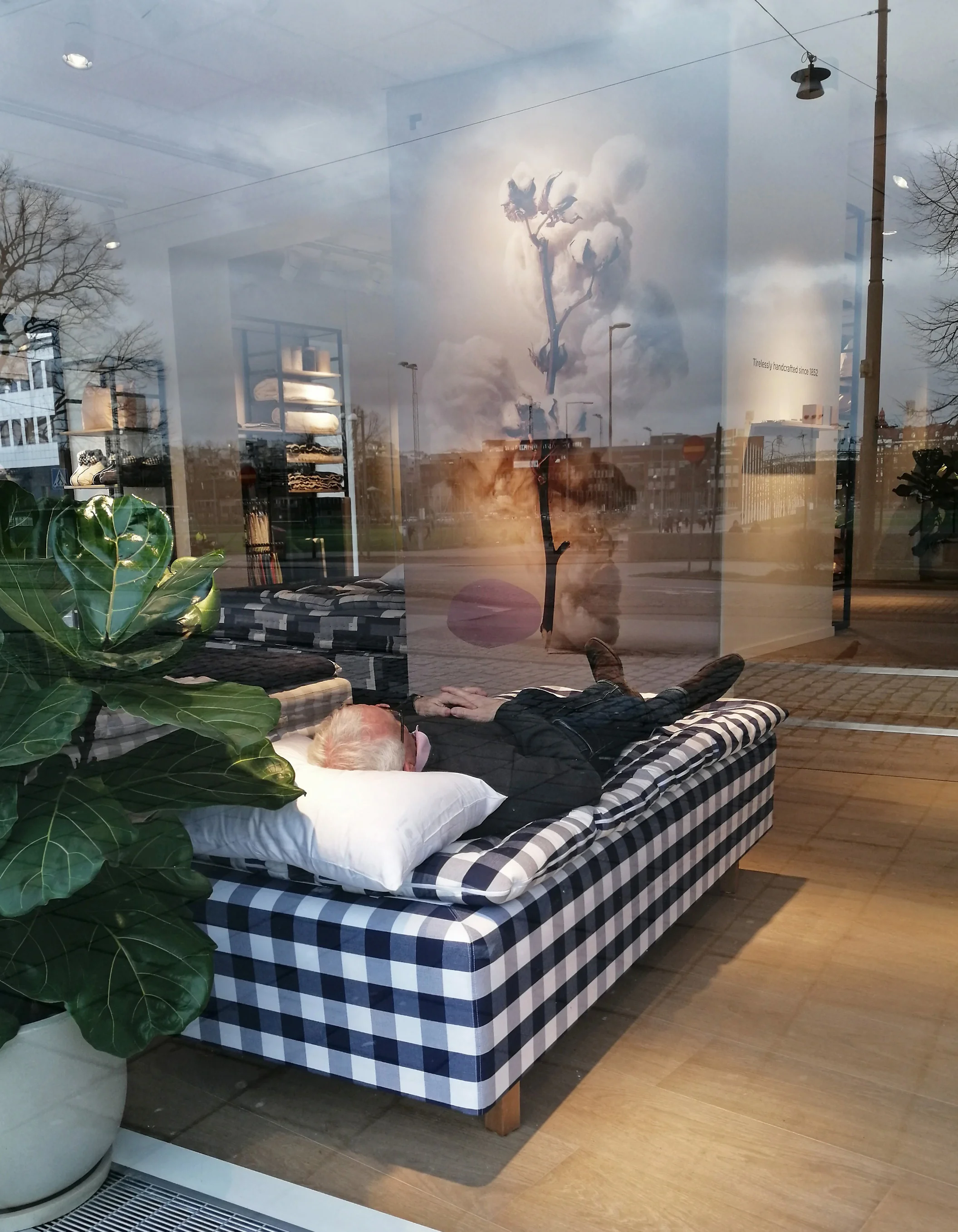 1771686585066 copy 2.webp