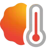 1782234353319.webp