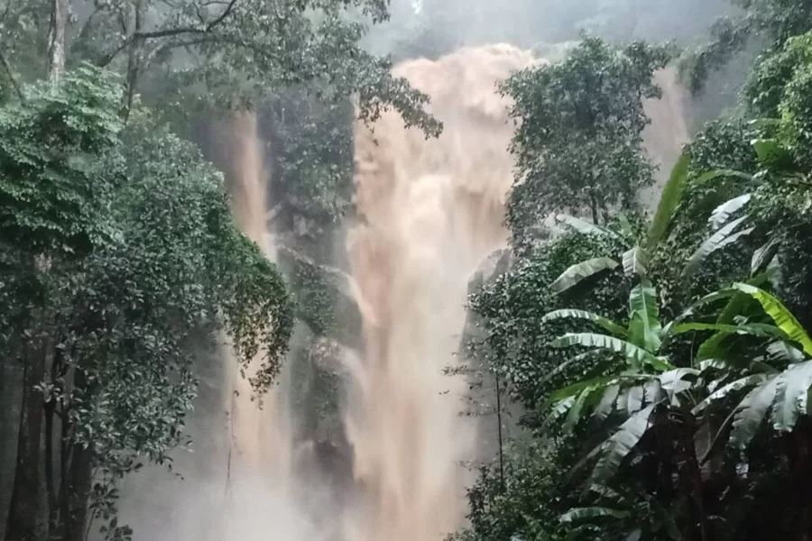 1790762824379.webp