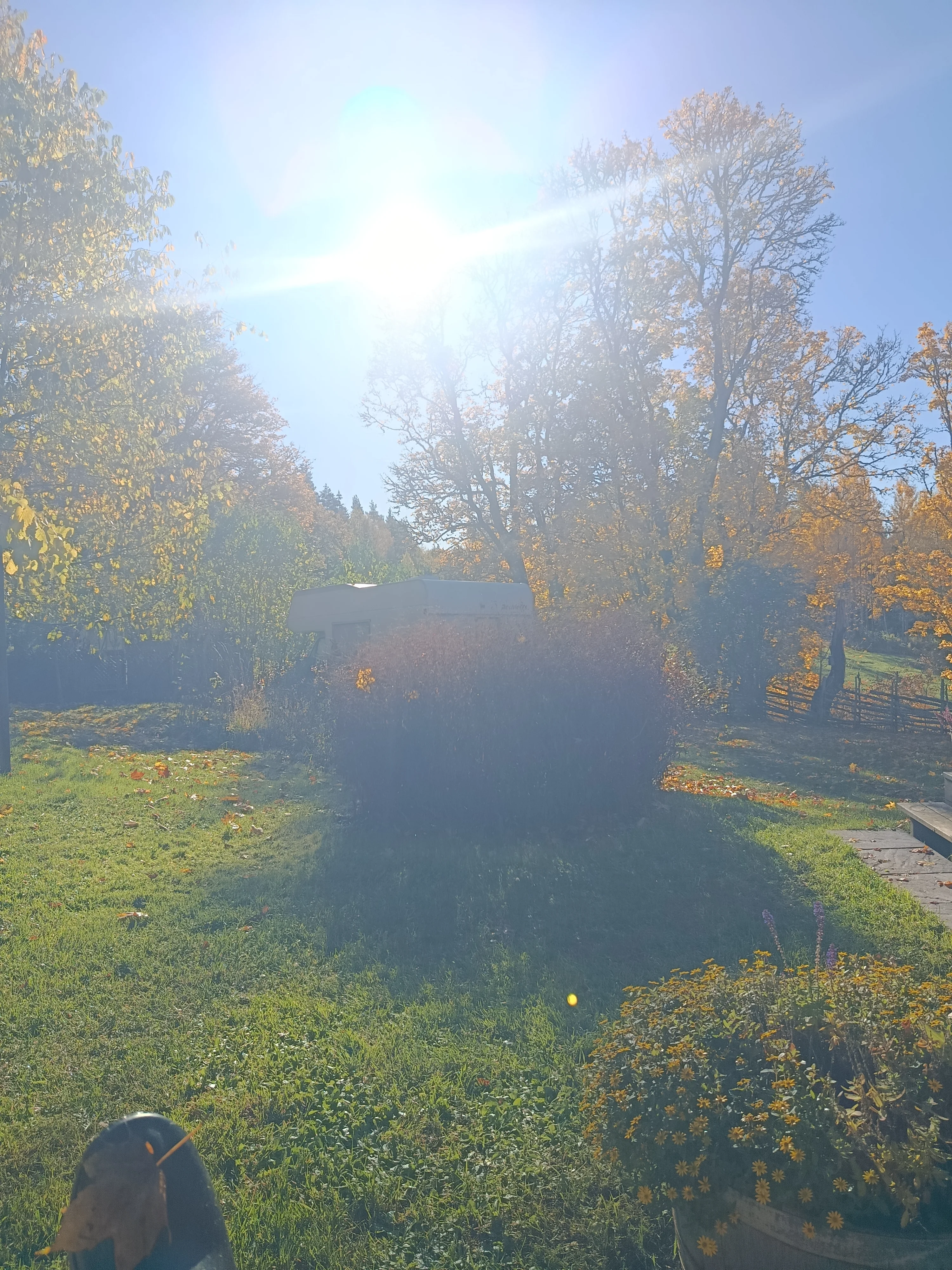 17923165396028276475013035736036.webp