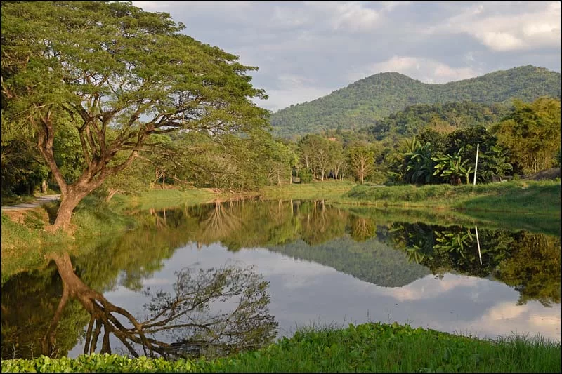 18-0024 Spegling i damm LOI.webp