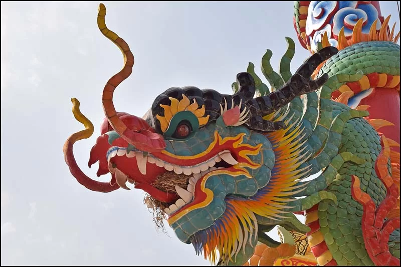 18-0331 Fågelbo i gapet på kinesdrake PYO.webp