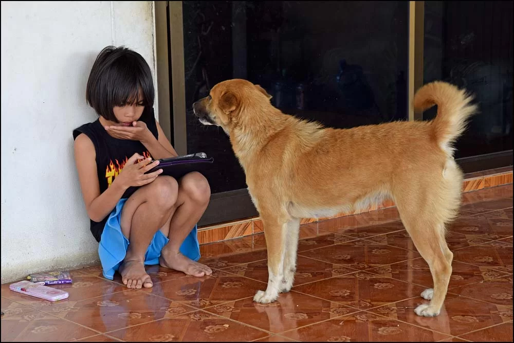 18-0405 Brew och Joy KOK.webp