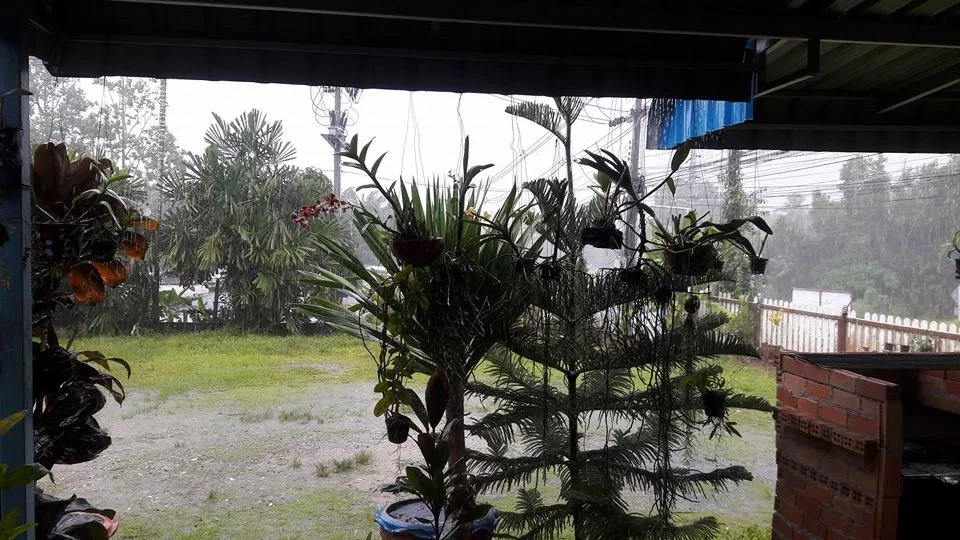 18387329_820294044785262_593371267_n  regnn.webp