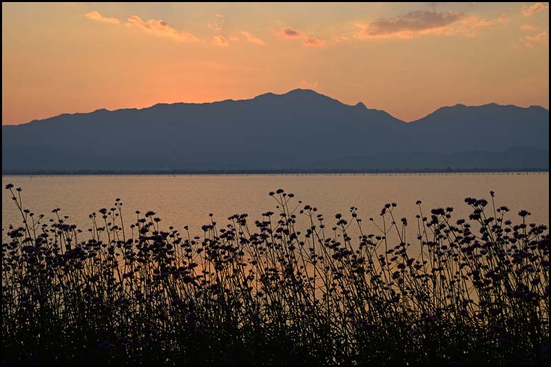 19-0095 Solnedgång, Kwan Phayao PYO.jpg
