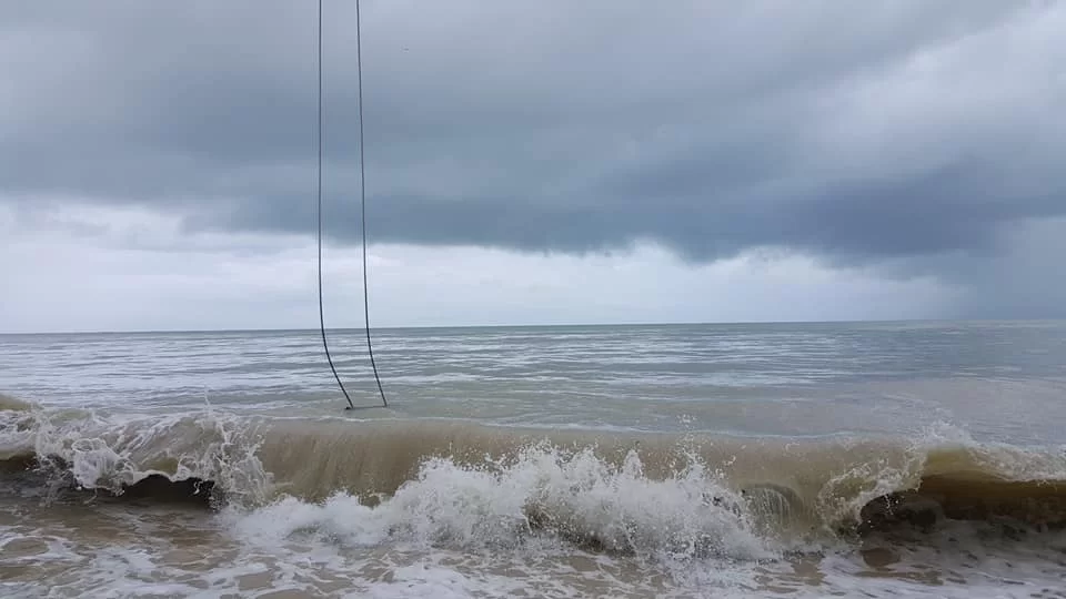 19430133_1434055746687831_1410114308299646605_n.jpgcoconut.webp