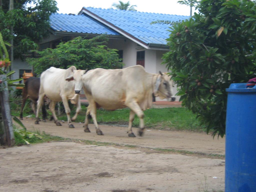1980-01-01 00-00-22 - IMG_2569.jpg