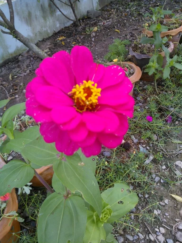 1983027758184.webp