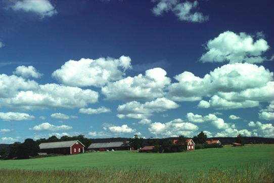 1_Lätta stackmoln.jpg