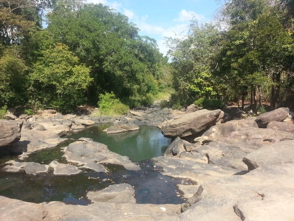 20121219_120852.webp